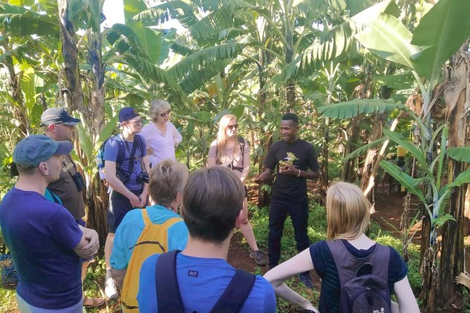 Coffee Tour Experience - What to Expect