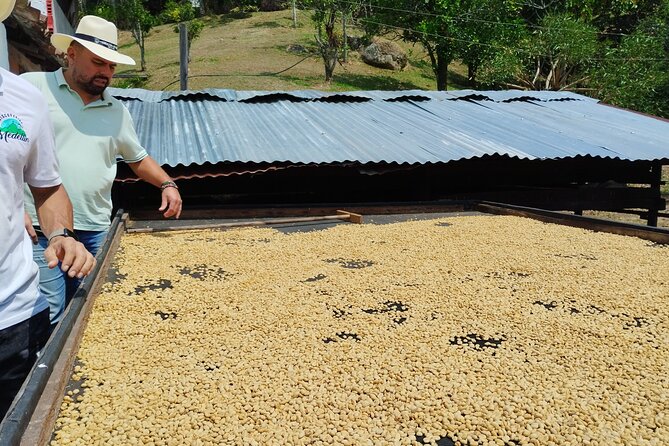 Coffee Tour Medellin - Pricing and Cancellation Policy