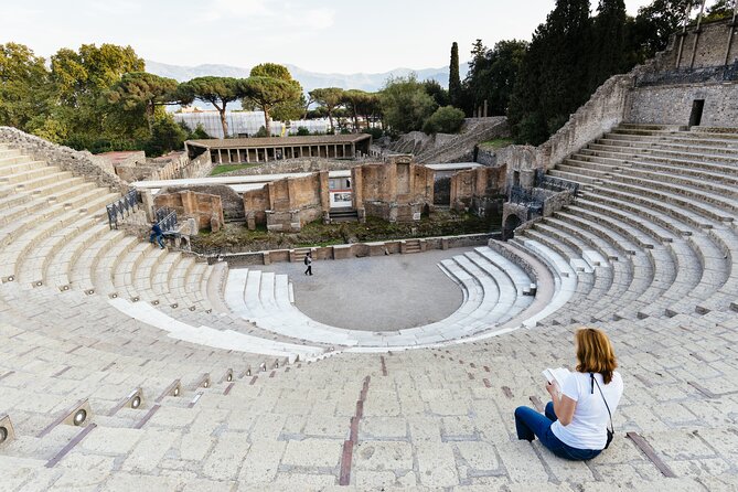 Combined Tour of Vesuvius and Pompeii Ruins With Audio Guide - Negative Tour Experiences