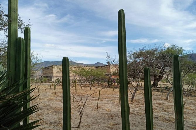 Combo Two-Day Tours, Hierve El Agua Full Day and Monte Alban Full Day - Pricing and Cancellation