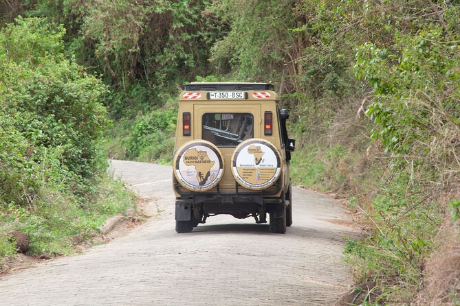 Common 5 Days Tanzania Serengeti Big 5 Private Safari | BURIGI CHATO SAFARIS - Reviews and Ratings