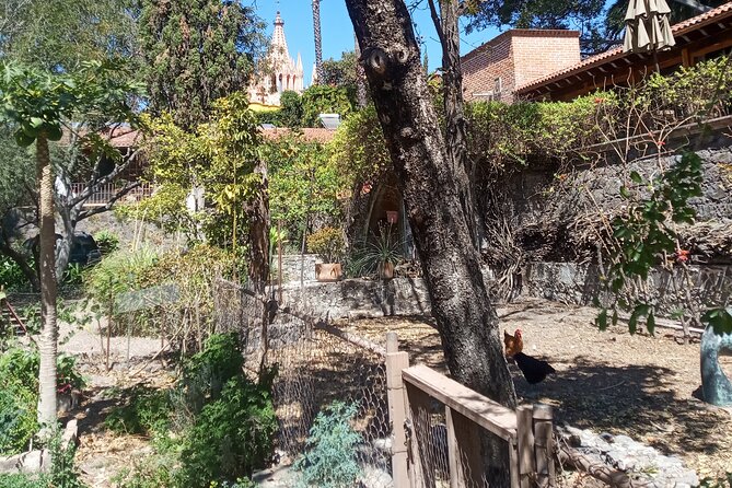 Cook & Dine | Make Authentic Mexican Mole and Salsas in San Miguel De Allende - Accessibility and Inclusivity