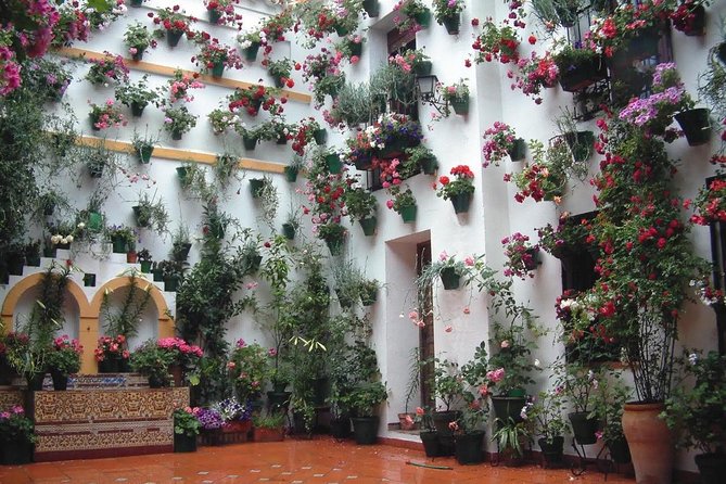 Cordoba Day Trip From Malaga - Visiting Key Sites in Cordoba