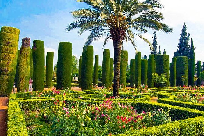 Cordoba: Fantastic Tour With Tickets - Traveler Reviews and Feedback