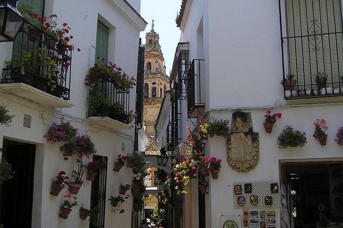 Córdoba Private Guided Day Tour From Madrid in Fast Train - Since You Asked