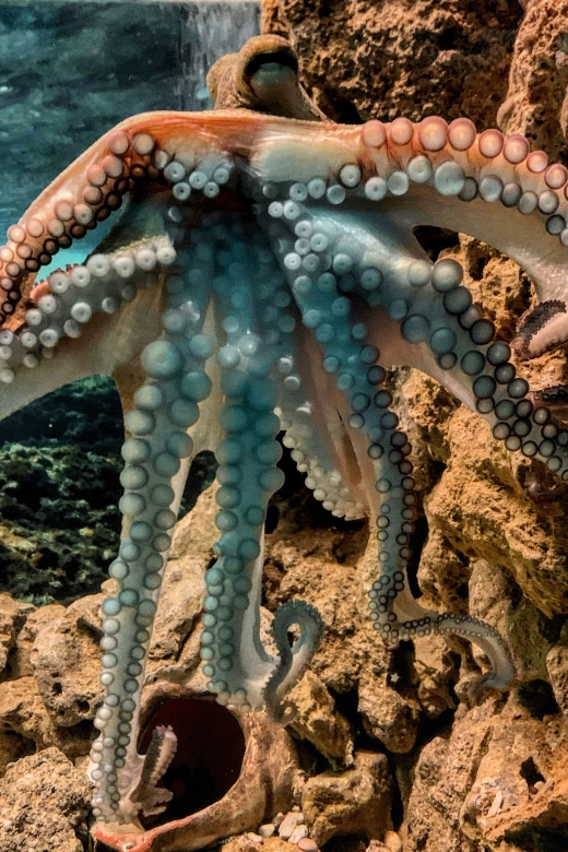 Corfu: Aquarium Entry Ticket With Guided Tour - Reviews