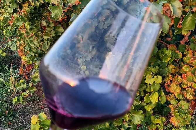 Corinth Winery Tour and Organic Fine Wine Tastings - Travel Details and Meeting Point