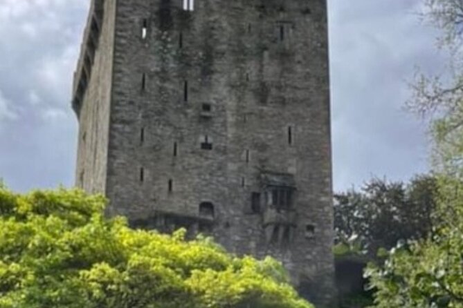 Cork City to Blarney Castle Private Taxi Tour in New AC Minibus - Highlights and Insights