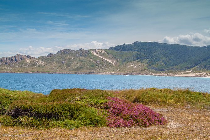 Costa Da Morte/Finisterre From La Coruña Private Tour/Shore Excursion - Traveler Photos Showcase