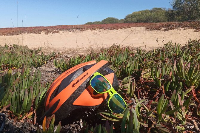 Costa Vicentina Week-Long Bike Tour From Lisbon  - Porto - Traveler Experiences and Photos
