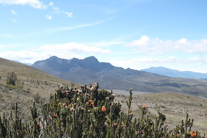 Cotopaxi Volcano (Private Day Trip From Quito) - Pricing and Cancellation Policy Explained
