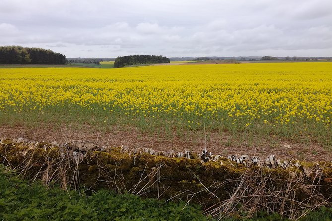 Cotswold and Oxford Private Group Day Tour From Watford - Meeting Point and Logistics