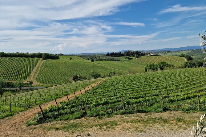 Countryside Pick-Up for Chianti Private Wine Tours Limo Service - Cost and Cancellation