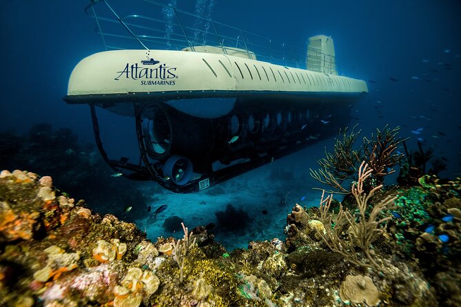 Cozumel Atlantis Submarine Adventure - Customer Satisfaction and Feedback