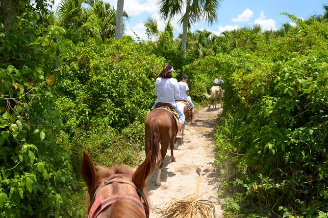 Cozumel Beach Horseback Riding Tour - Photography