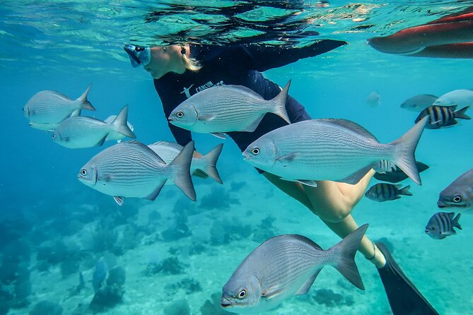 Cozumel Luxury Sailing & Snorkeling With Lunch and Open Bar Onboard - Customer Reviews