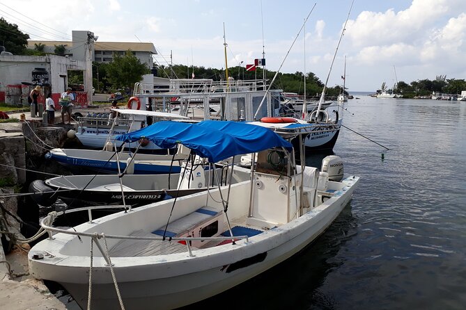 Cozumel Private 4-Hour Boat Tour to Passion Island - Itinerary