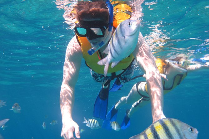 Cozumel Shore Excursion: Playa Uvas Private Beach Pass - Snorkeling Adventure