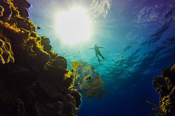 Cozumel Snorkel Tour: Coral Reefs, El Cielo & Beach (Hotel Pick Up) - Relaxing at Playa Mia