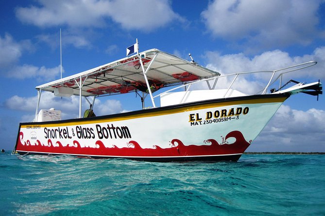 Cozumel Snorkeling Tour at Palancar & Colombia Reefs and El Cielo - Recommendations