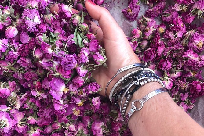 Cultural Tour in Fez - Highlights of the Cultural Tour