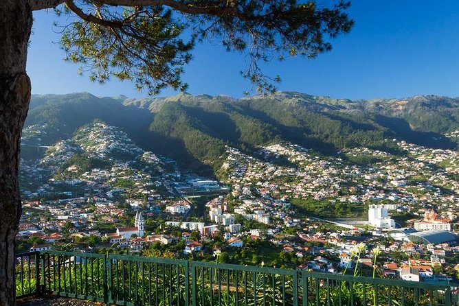 Curral Das Freiras and Monte - Pricing and Booking Information
