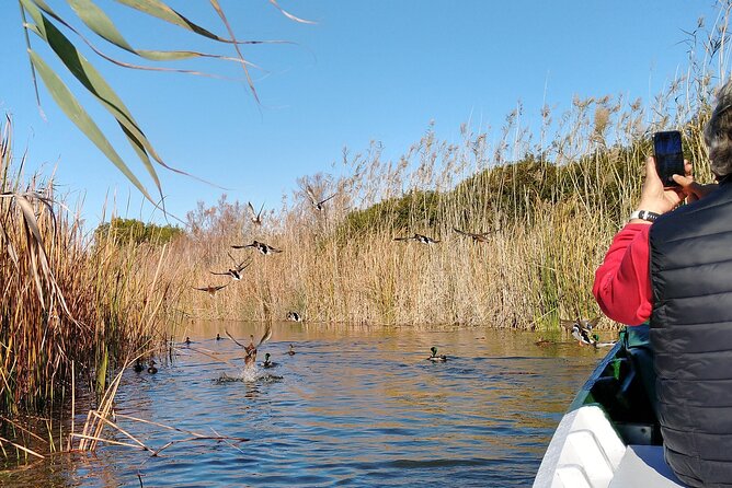 Cycle Albufera Lake, Rice Fields Paella and Boat Ride With Beach - Meeting and Departure Details