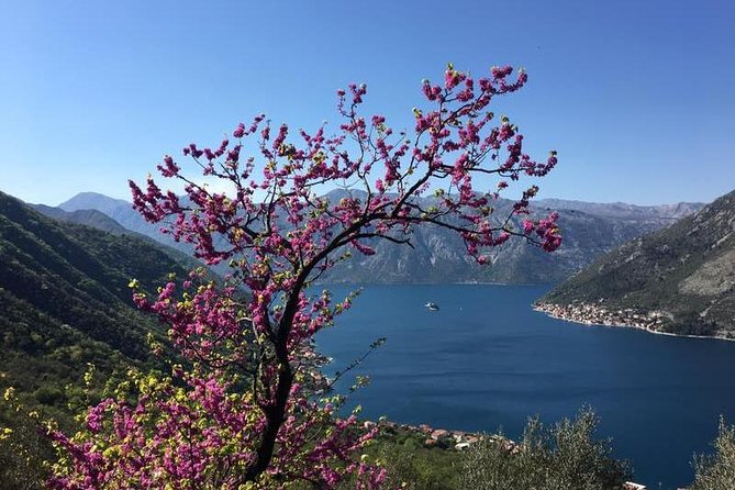 Cycling and Hiking Short Tour Through the Bay of Kotor - Tour Duration and Itinerary