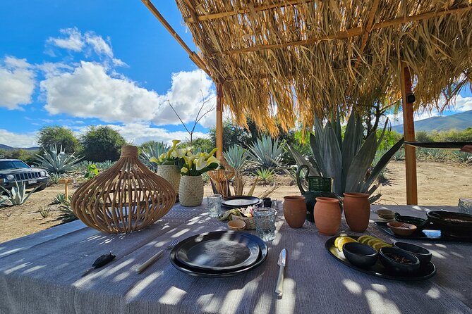 Danzantes Premium Mezcal, Hierve El Agua, Textiles & Lunch - Mezcal Tasting Experience