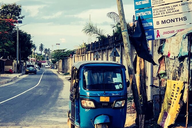Dar Es Salaam City Sightseeing Private Tour - Customer Reviews and Feedback