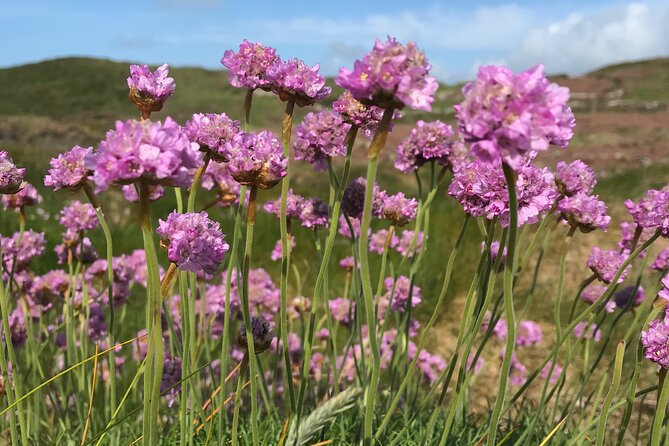 Dawn Pilgrimage and Swim in West Cork - Cancellation Policy