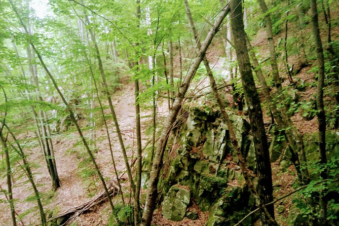 Day Hike in the Mountains of Sanremo - Reviews and Ratings
