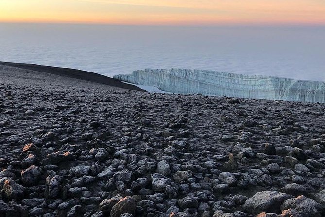 Day Hike to Mount Kilimanjaro (Mandara Hut) - Cancellation Policy