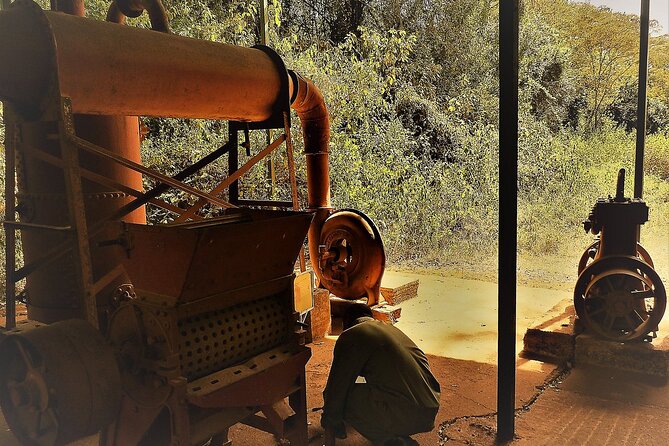 Day Tour Giraffe Center, Karen Blixen and Lunch at Carnivore - Customer Feedback and Ratings