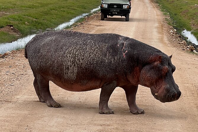 Day Tour to Amboseli National Park and Masai Village Tour - Pricing Information