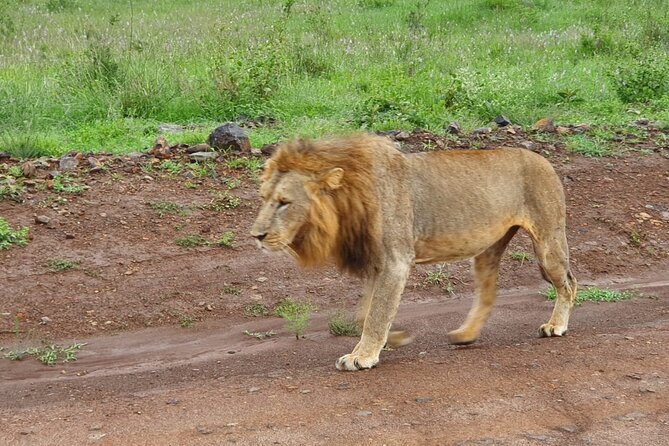 Day Tour To Amboseli National Park From Nairobi - Pricing Structure
