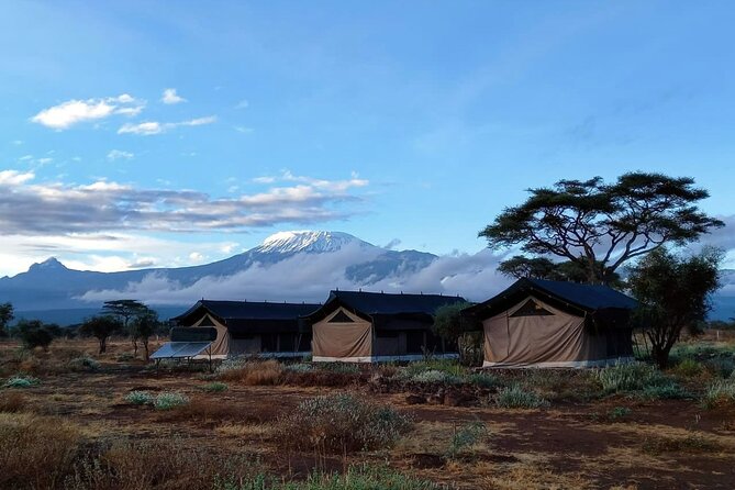 Day Tour to Amboseli National Park From Nairobi - Accessibility and Participation