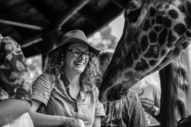 Day Tour to Giraffe Center and Karen Blixen Nairobi - Tour Schedule and Accessibility