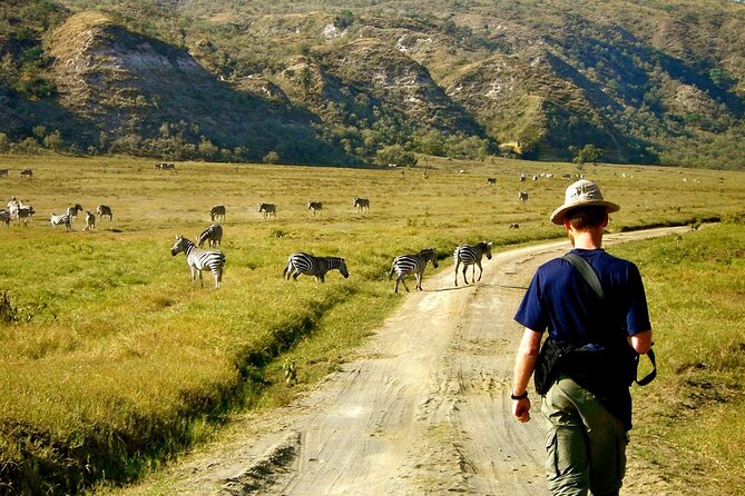 Day Tour to Hells Gate and Optional Boat Ride at Lake Naivasha - Positive Traveler Reviews