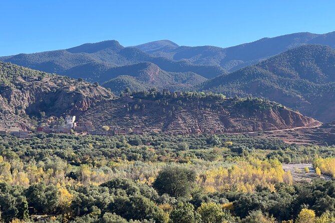 Day Trip From Casablanca to Atlas Mountain With Guide and Lunch - Pricing and Booking Information