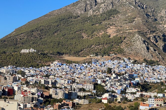 Day Trip From Casablanca to Chefchaouen With Tour Guide Included - Reviews and Ratings