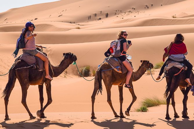Day Trip From Errachidia to Merzouga Desert - Meeting and Requirements
