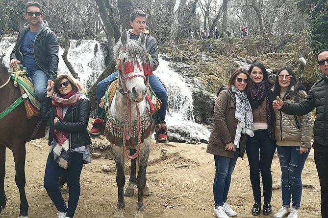 Day Trip From Fez to Middle Atlas Mountain - Transportation Details