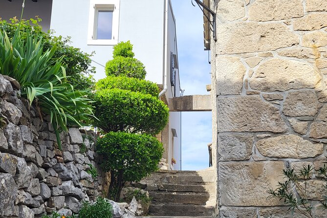 Day Trip on Saturday: HUM and MOTOVUN - Cancellation and Refund Policy