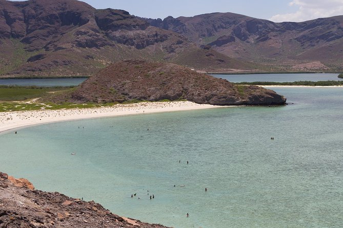 Day Trip to La Paz & Balandra Beach From Cabo San Lucas - Traveler Ratings and Feedback