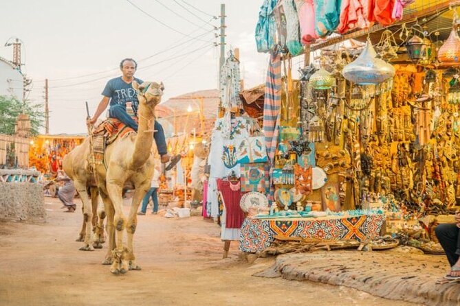 Day Trip to Nubian Village With Camel Tour From Aswan - Camel Tour Experience