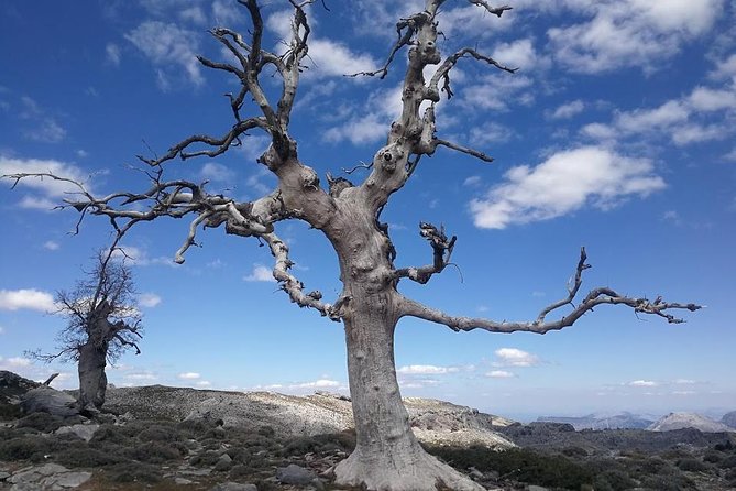 Dayhikes With Pick-Up From Marbella and Estepona - Traveler Experiences