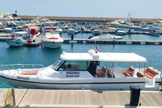 Dimaniyat Island Tour With Snorkeling - Safety and Accessibility Considerations