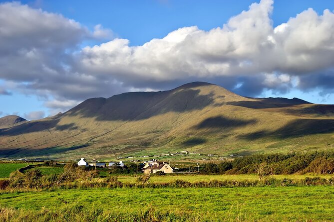 Dingle Peninsula and Slea Head Day Tour - Customer Reviews