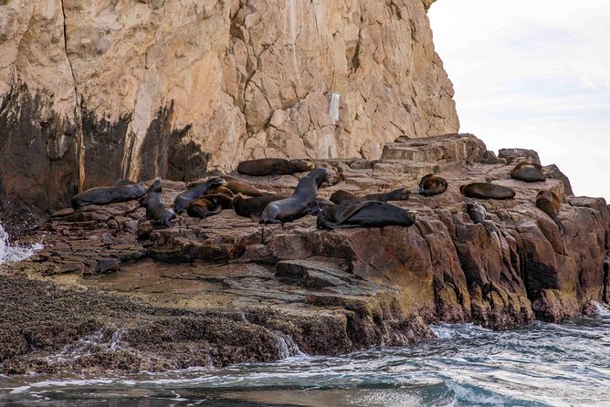 Dinner Cruise Tour in Cabo San Lucas With Tequila Tasting - Tequila Tasting